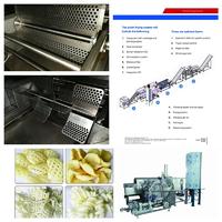 Professional Manufacturer of Snacks Pellets Frying System