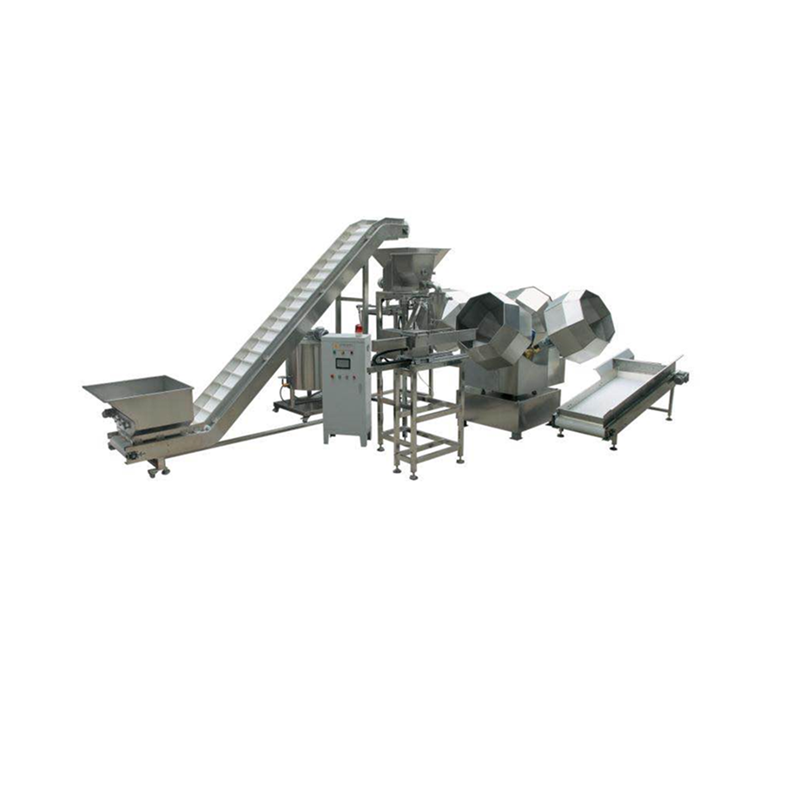 Snacks Coating System